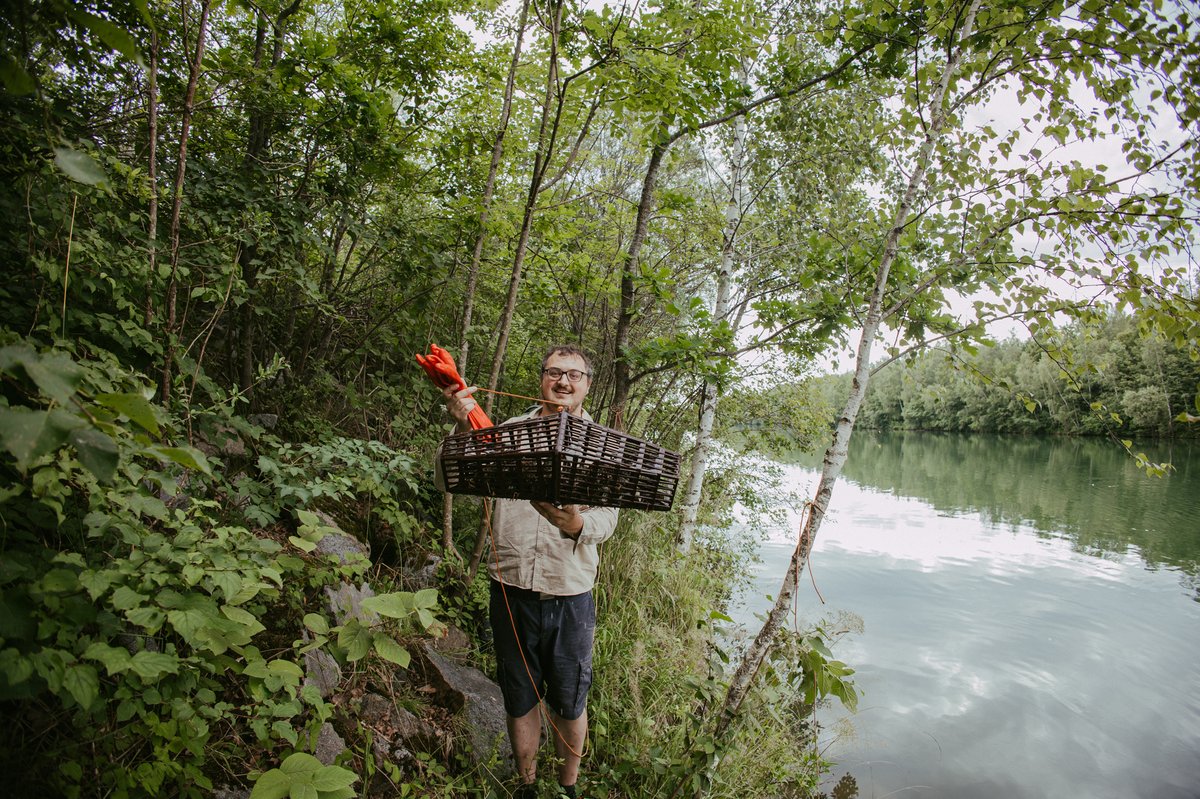 Thomas Koller mit Reuse voller Signalkrebse an der Traun